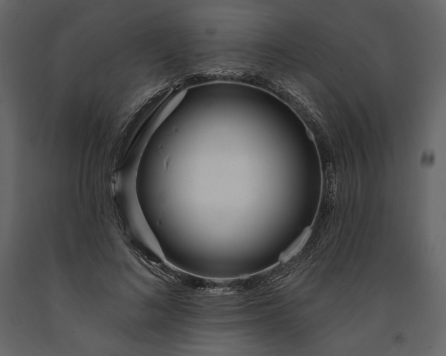 X0000091170692200708231505