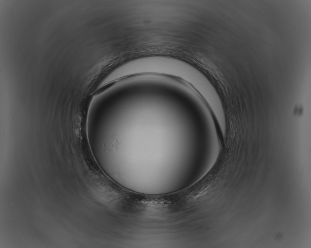 X0000091170693200708231505