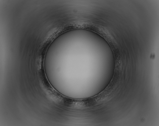 X0000091170694200708231505