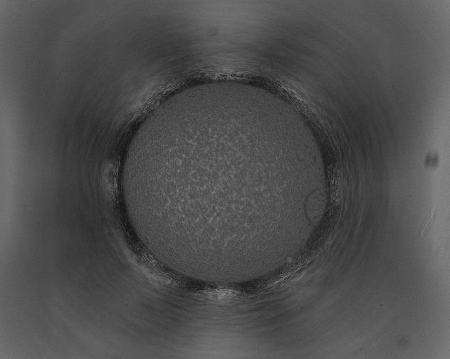 X0000091170695200708231505