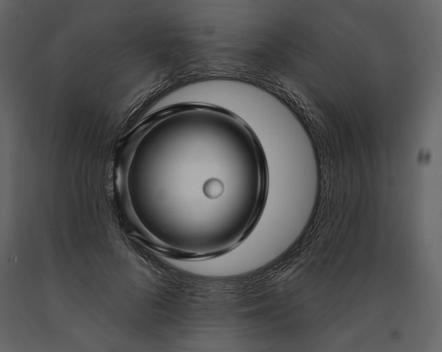 X0000091170696200708231505