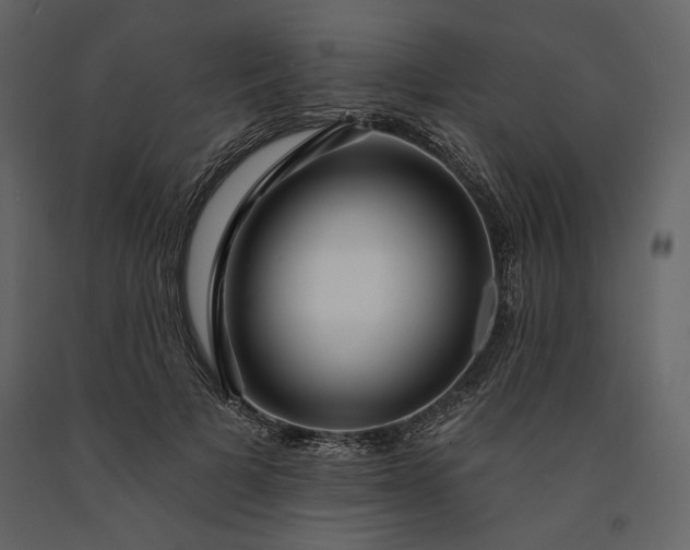 X0000091170697200708231505