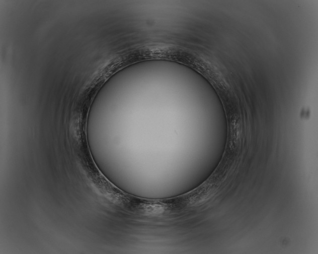 X0000091170698200708231505