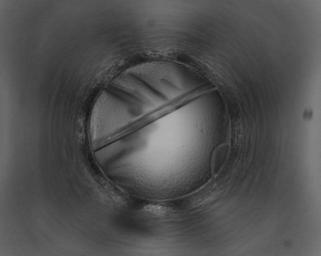 X0000091170699200708231505