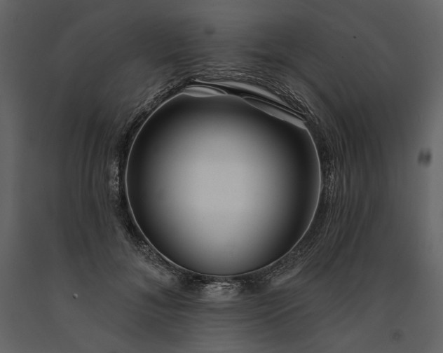 X0000091170700200708231505