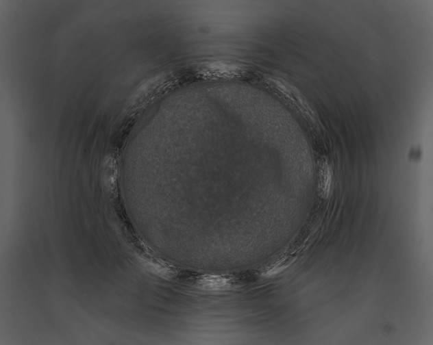 X0000091170701200708231505