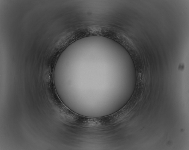 X0000091170702200708231505