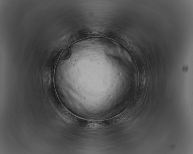 X0000091170703200708231505