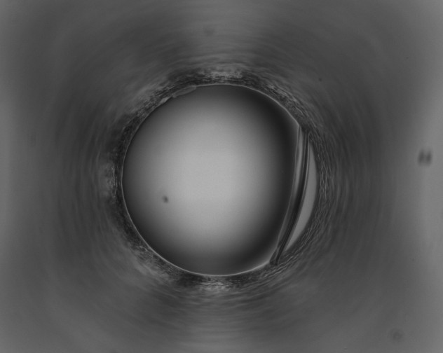 X0000091170704200708231505