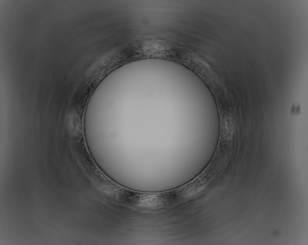 X0000091170705200708231505