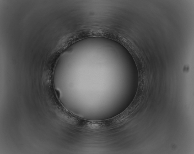 X0000091170706200708231505