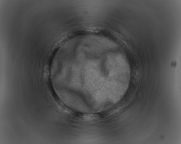 X0000091170707200708231505