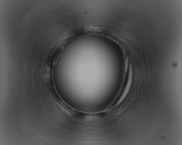 X0000091170708200708231505