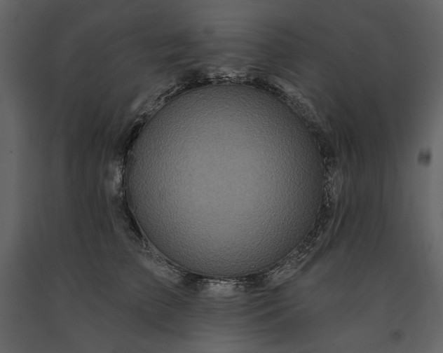 X0000091170709200708231505