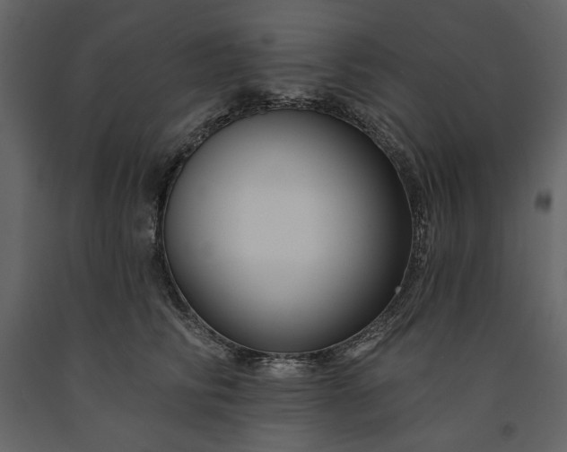 X0000091170710200708231505