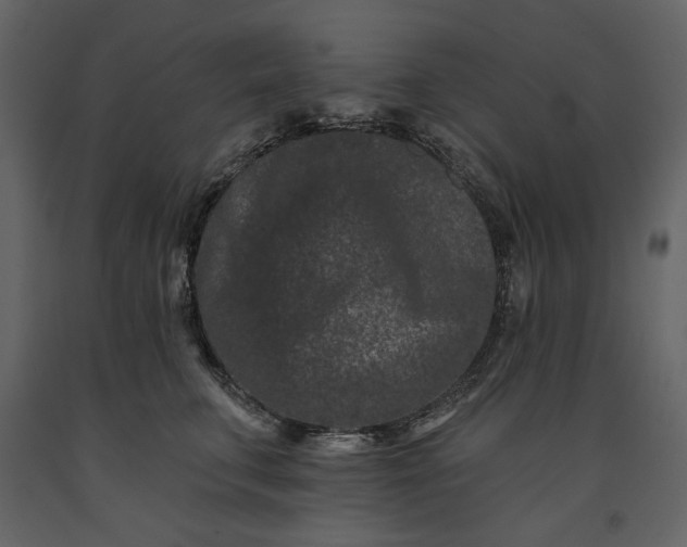 X0000091170711200708231505