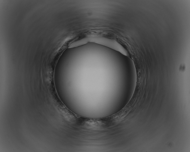 X0000091170712200708231505