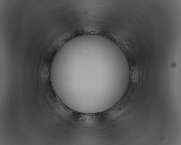 X0000091170713200708231505