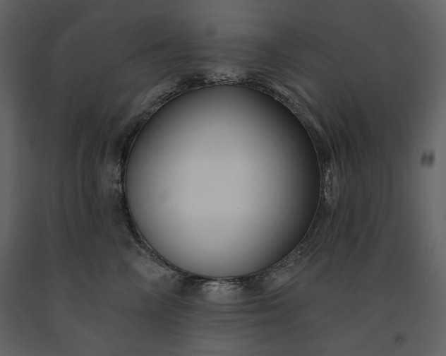 X0000091170714200708231505