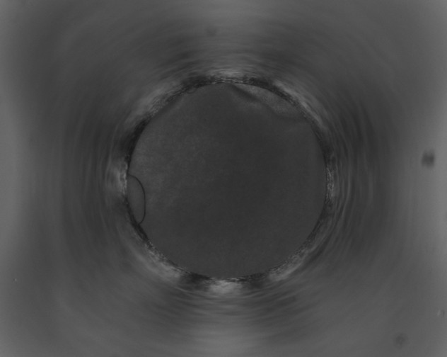 X0000091170718200708231505