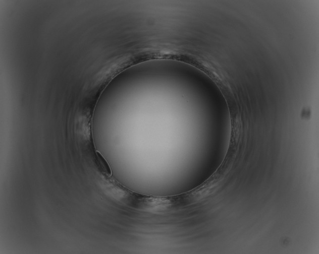 X0000091170719200708231505