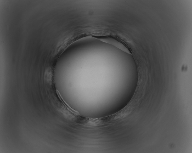 X0000091170720200708231505