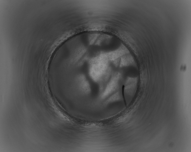 X0000091170721200708231504