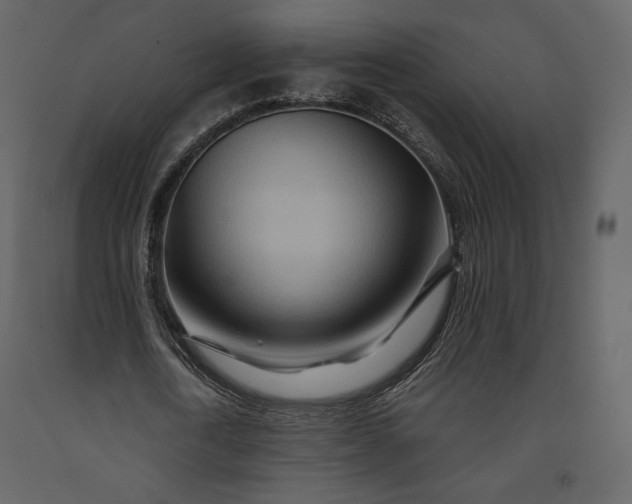 X0000091170722200708231504