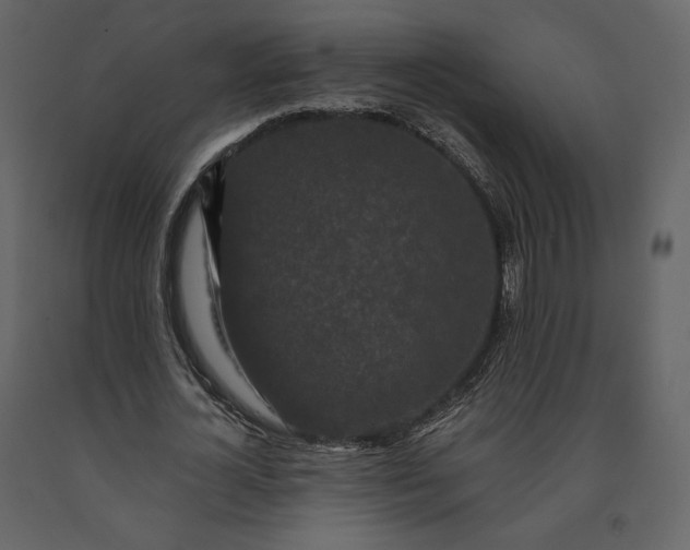 X0000091170724200708231504