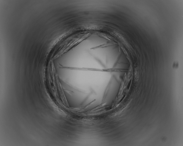 X0000091170725200708231504