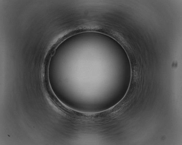 X0000091170726200708231504