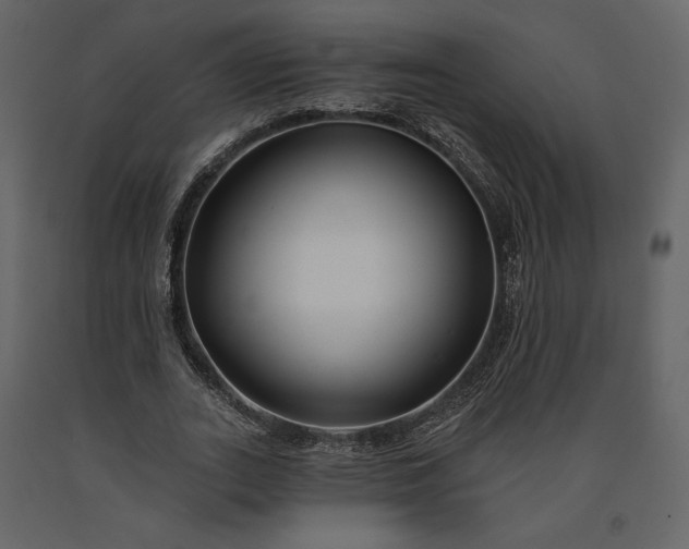 X0000091170727200708231504