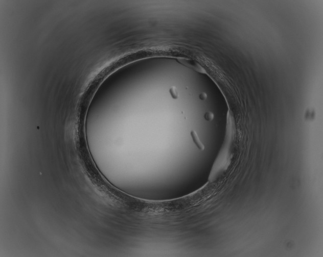 X0000091170728200708231504