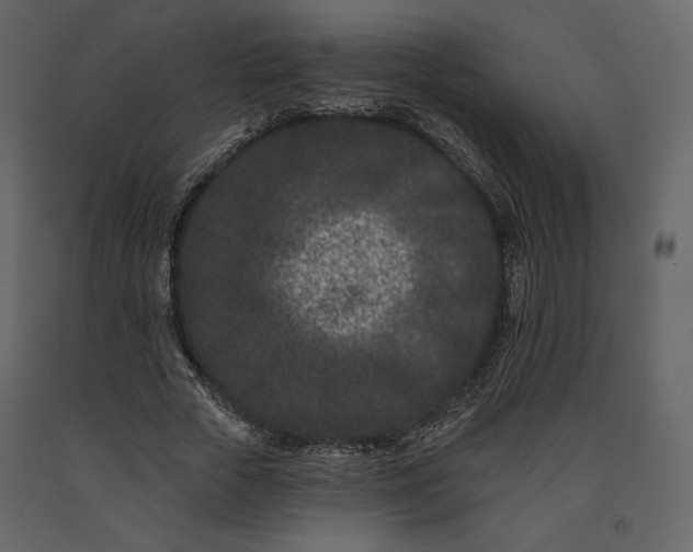 X0000091170729200708231505