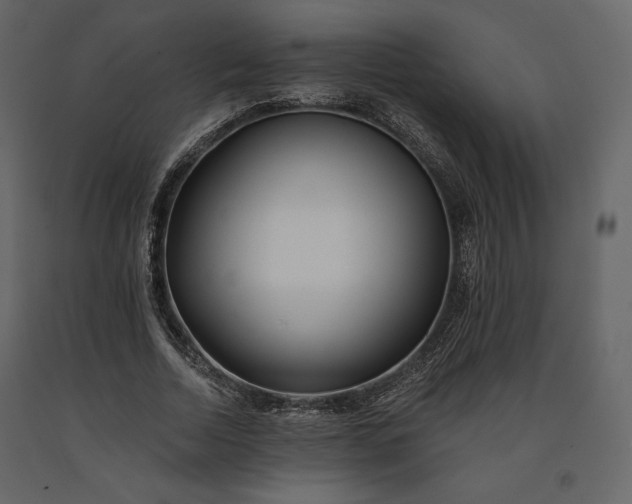 X0000091170730200708231505