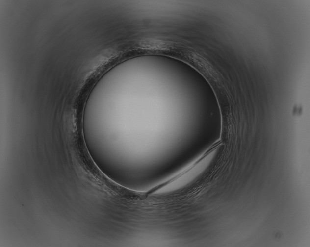 X0000091170731200708231505