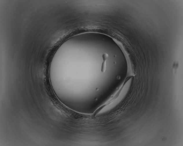 X0000091170732200708231505