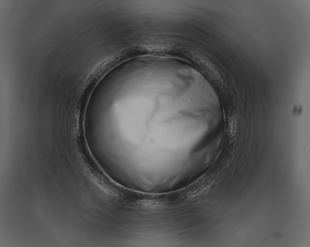 X0000091170733200708231505