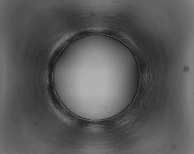 X0000091170734200708231505