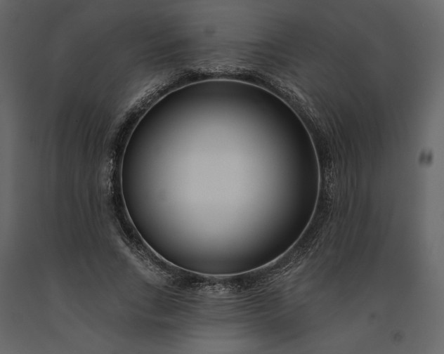 X0000091170735200708231505