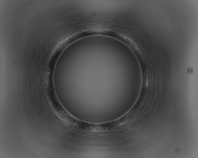 X0000091170736200708231505