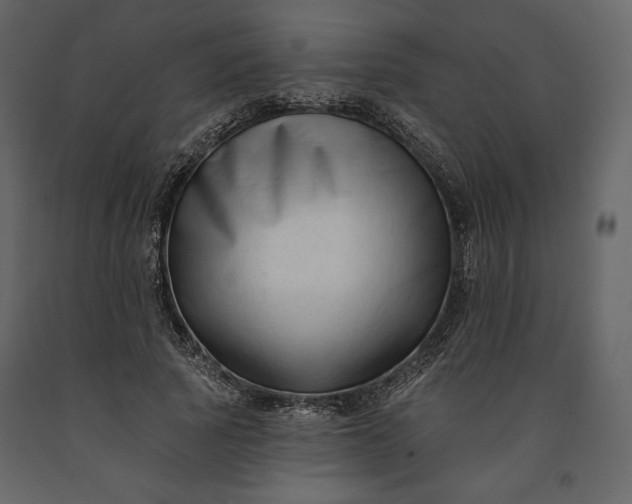 X0000091170737200708231505