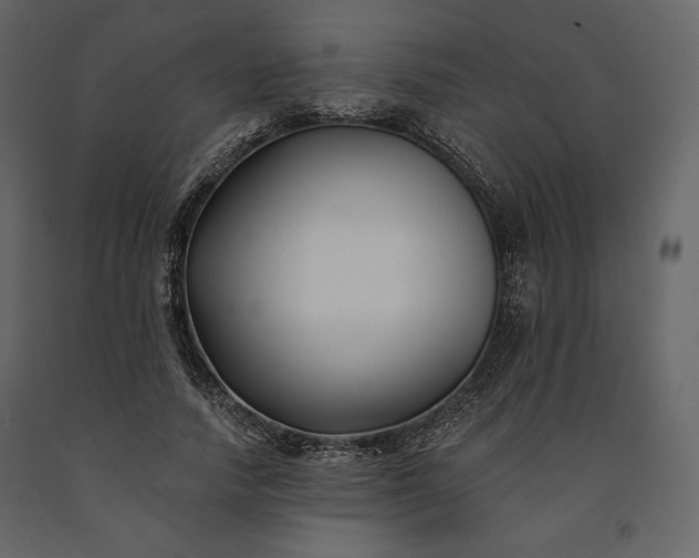 X0000091170738200708231505