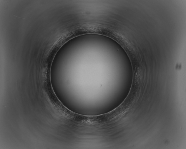 X0000091170739200708231505