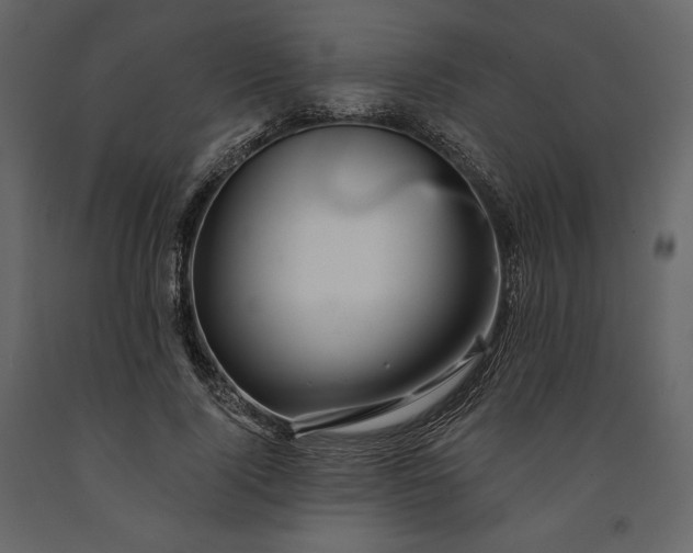 X0000091170740200708231505