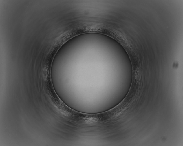 X0000091170741200708231505