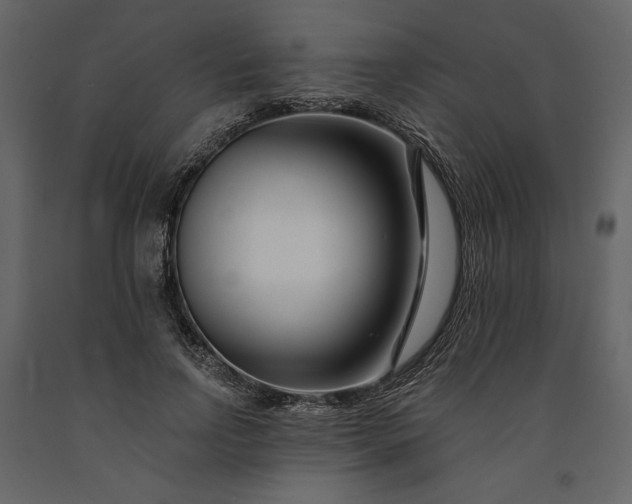 X0000091170742200708231505