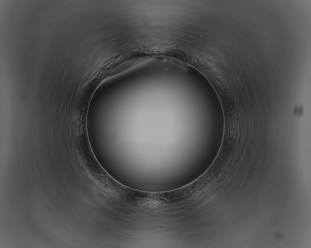 X0000091170743200708231505