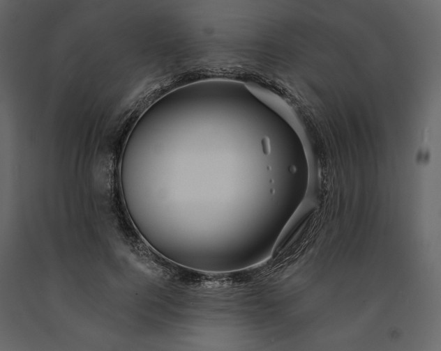 X0000091170744200708231505