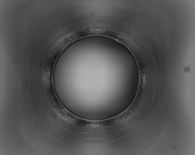 X0000091170745200708231505